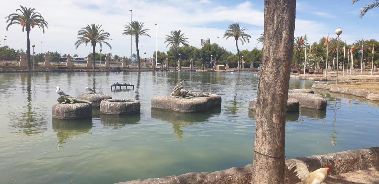 Schoene Wohnung Mit Pool , Wi-Fi Und Privat Garage Torrevieja Exterior photo